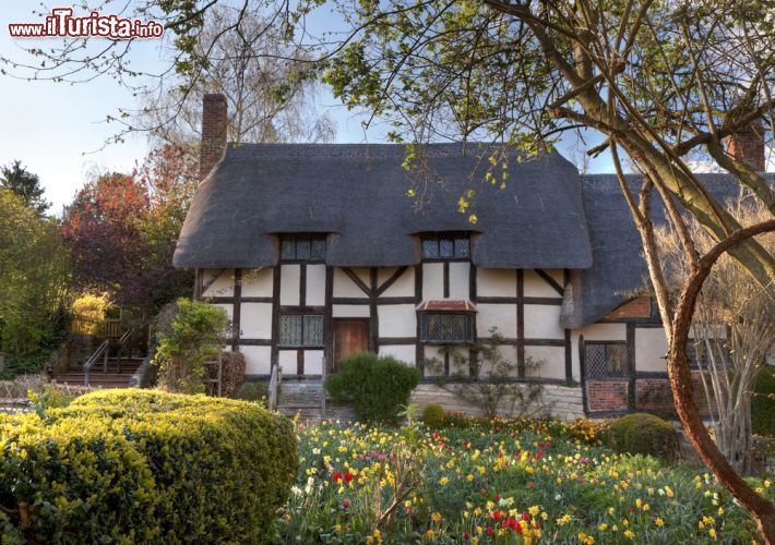 Immagine La casa della moglie di Shakespeare a Stratford-upon-Avon, Inghilterra - Il bel cottage in tipico stile inglese che un tempo fu di Anne Hathaway, consorte che Shakespeare sposò nel 1582 all'età di 18 anni © Andrew Roland / Shutterstock.com