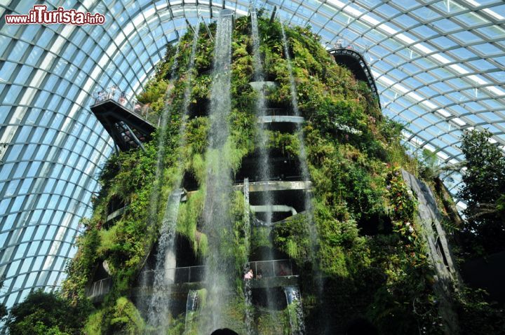 Immagine La cascata del Cloud Forest Dome di Singapore. All'interno della serra si viene accolti da una raffica rinfrescante di aria fresca seguita dalla vista della cascata interna più alta del mondo da cui piove acqua e nebbia da un'altezza di 35 metri sul pavimento. Prendendo l'ascensore e salendo sino ai livelli superiori si possono ammirare giardini di muschi e felci per poi godere di panorami spettacolari grazie ad una serie di passaggi sopraelevati sull'intero parco e sulla baia di Singapore - © Sonja Vietto Ramus