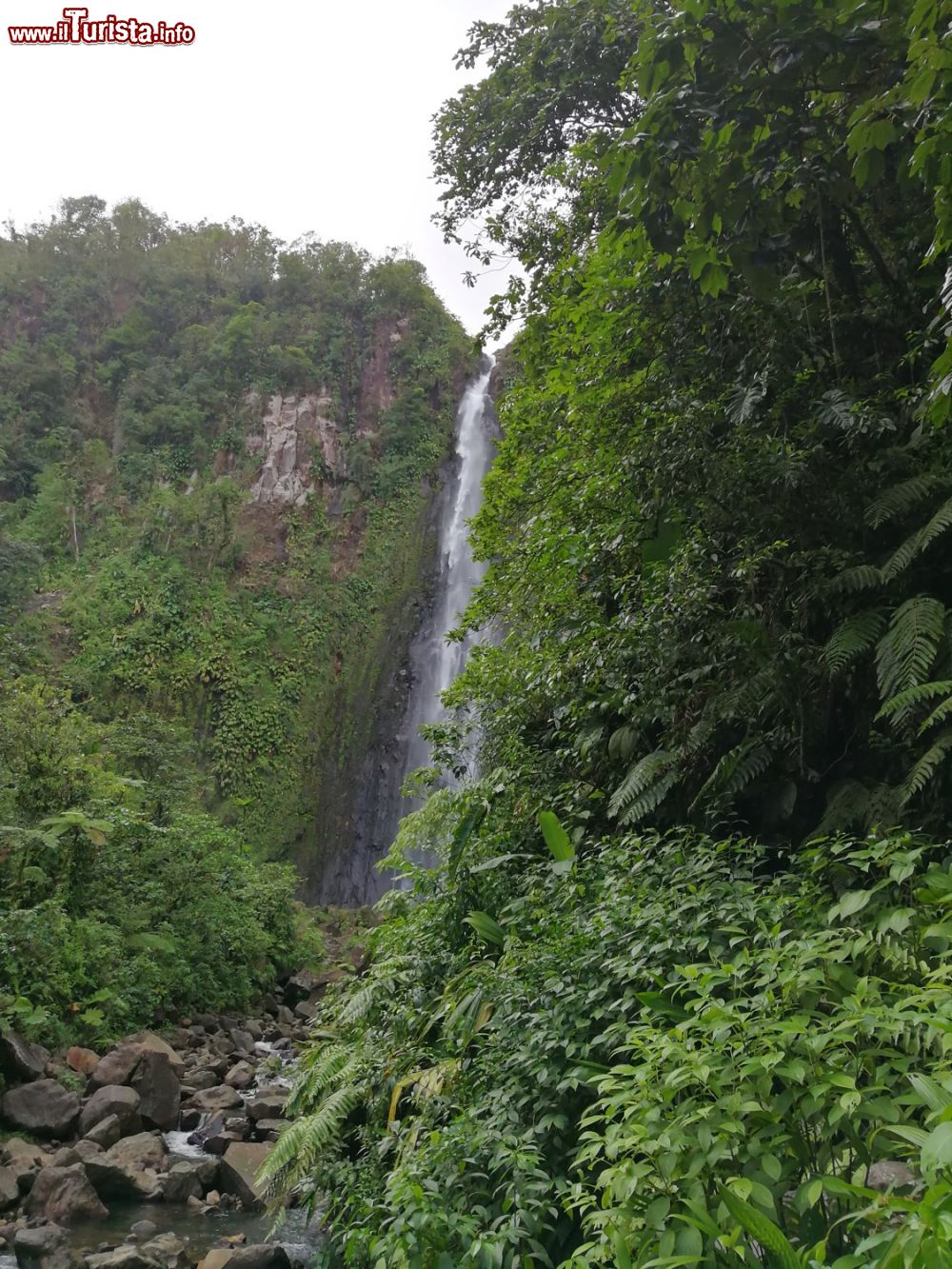 Immagine La cascata di Guadalupa: Chutes du Carbet