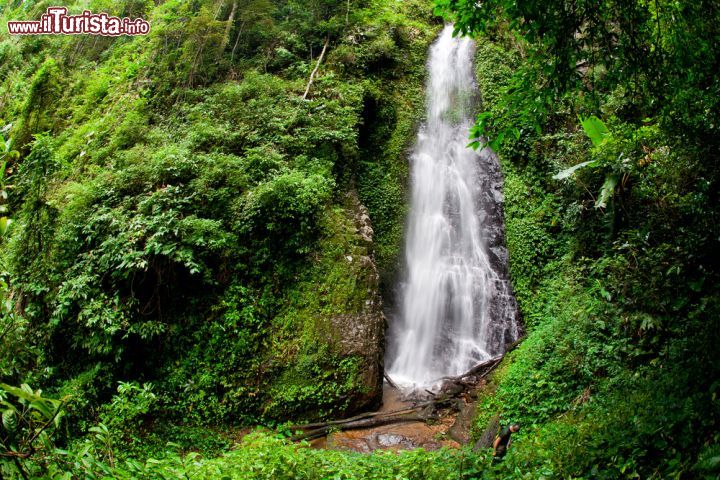 Immagine La cascata Mae Tho a Chiang Rai, Thailandia, immersa in una natura rigogliosa - © Sukpaiboonwat / Shutterstock.com