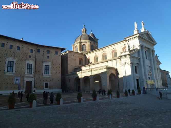 Immagine La cattedrale di Urbino e piazza Duca Federico