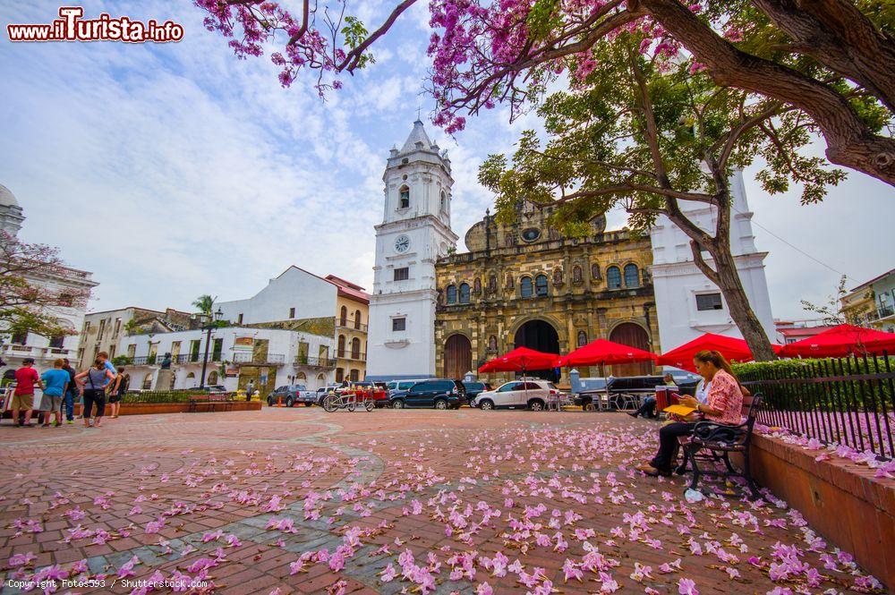 Immagine La cattedrale di Panama nel vecchio quartiere San Felipe a Panama City, Panama. L'edificio religioso venne costruito nel 1796 - © Fotos593 / Shutterstock.com