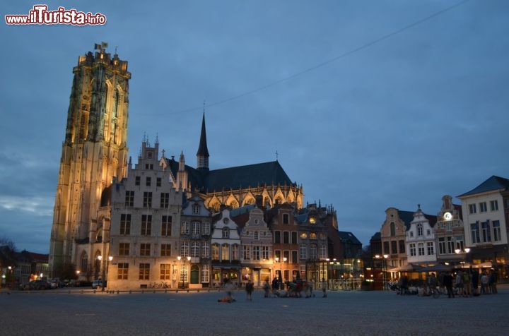 Immagine La cattedrale di San Rombaldo nella piazza principale di Mechelen, Belgio, by night. Eretta a partire dal 1217 in forme gotiche secondo la variante brabantina è un vero capolavoro d'arte - © 230089702 / Shutterstock.com