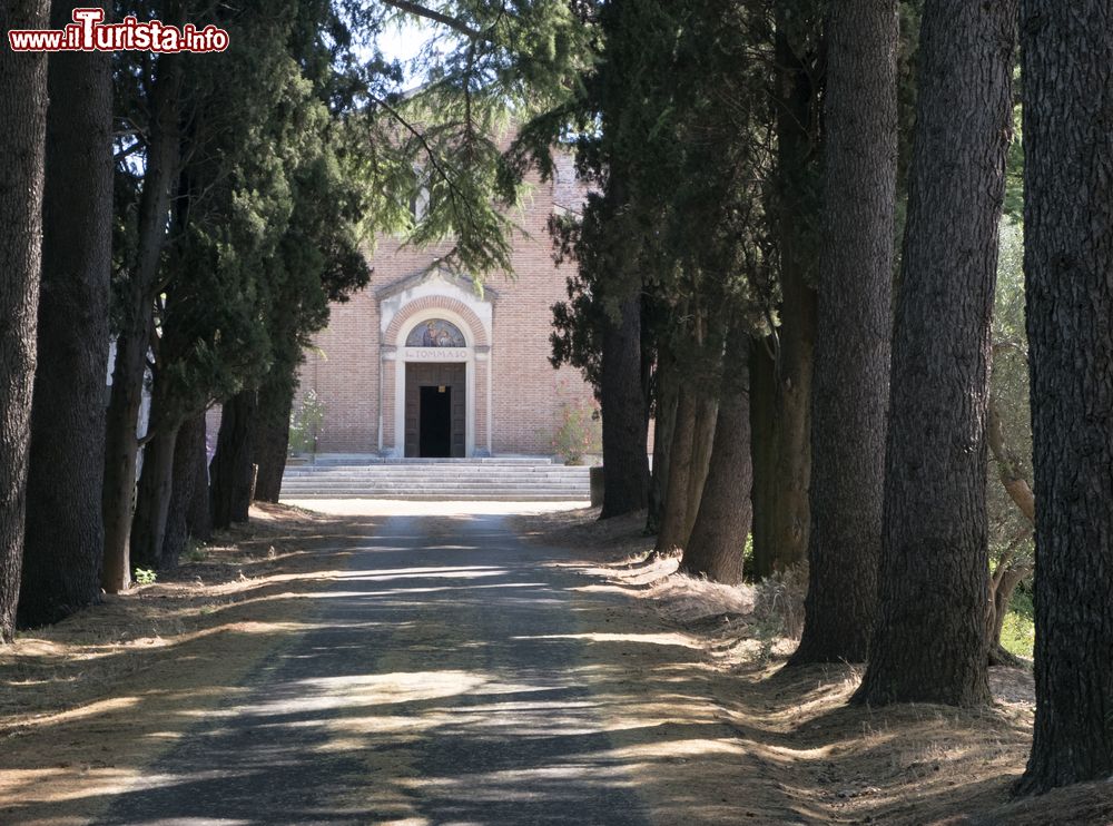 Immagine La Chiesa di San Tomaso, si trova non lontano da Sogliano al Rubicone in Romagna, in direzione di Cesena