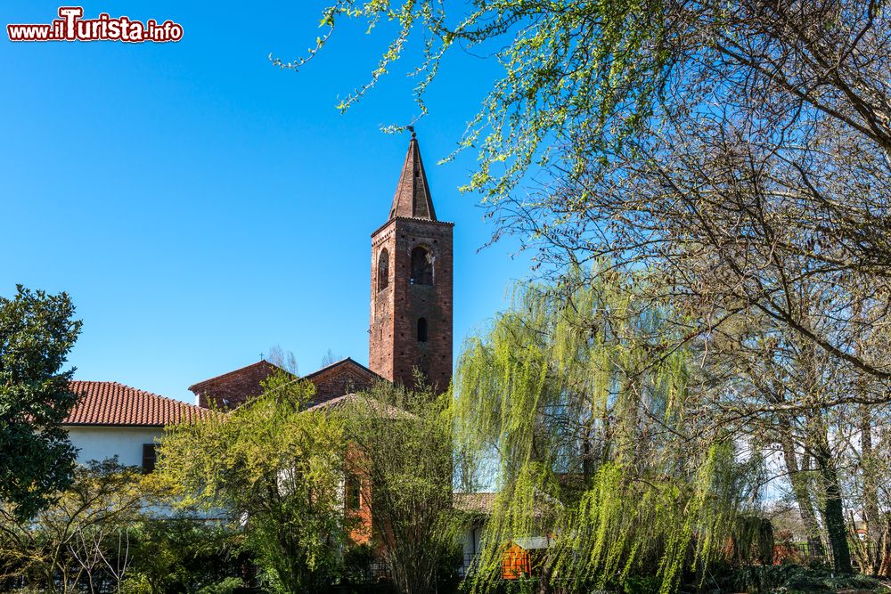 Immagine La Chiesa di Sant'Albino a Mortara in Lomellina (Lombardia)