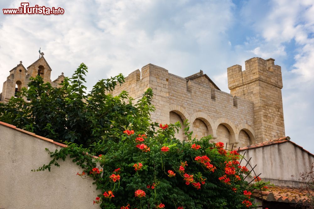 Immagine La chiesa fortificata di Notre-Dame-de-la-Mer, a Saintes-Maries-de-la-Mer, in Camargue, Provenza (Francia)