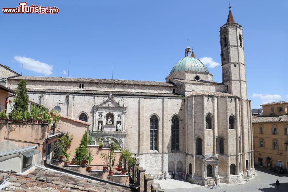 Immagine La chiesa gotica di San Francesco a Ascoli Piceno, Marche, Italia. Completato nel 1549, questo edificio religioso è uno dei monumenti che delimitano Piazza del Popolo - © trotalo / Shutterstock.com