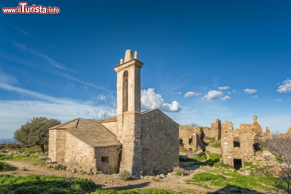 Immagine La chiesa restaurata nel borgo abbandonato di Occi, Lumio, Corsica. Sullo sfondo, le rovine degli altri edifici del villaggio.