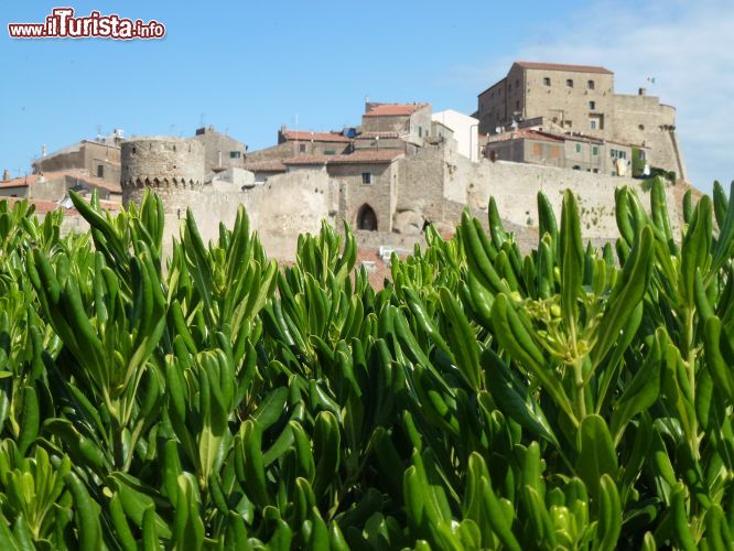 Immagine La città murata del borgo della frazione Castello, nel cuore dell'Isola del Giglio