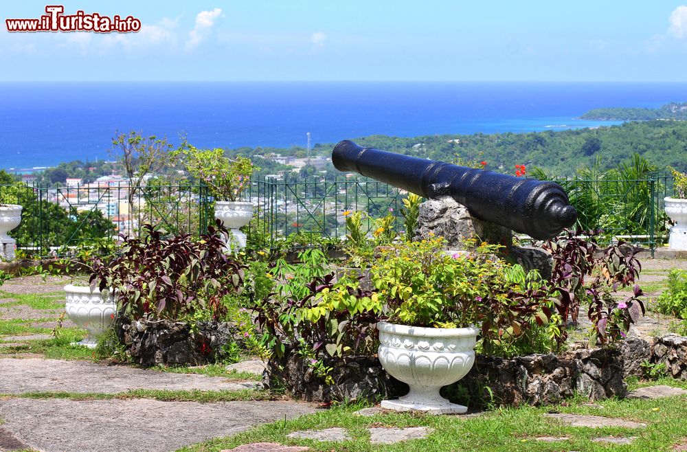 Immagine La città portuale di Ocho Rios vista dal Shaw Park Botanical Gardens, Giamaica. Situato sulle colline sopra la città, questo parco è un bellissimo giardino botanico di 25 ettari che comprende circa 600 specie di fiori, arbusti, felci, palme e ibiscus.