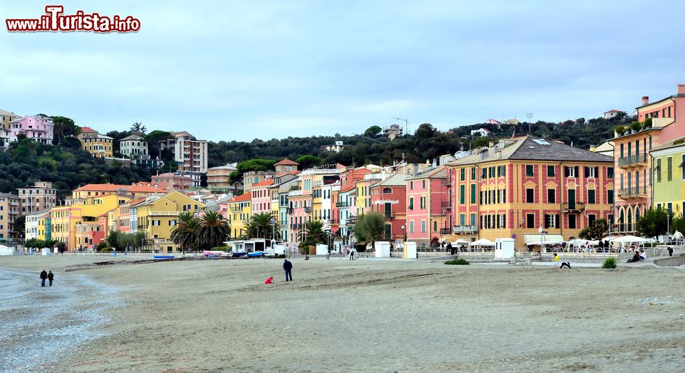 Immagine La cittadina di Celle Ligure, Liguria, vista dalla spiaggia. Celle si trova sulla costa della Riviera delle Palme, insenatura fra la punta dell'Olmo e quella della Madonnetta.