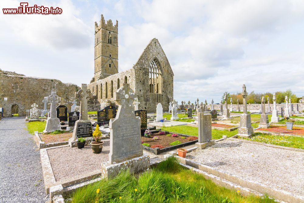 Immagine La Claregalway Friary, abbazia francescana medievale, nella città di Claregalway, contea di Galway, Irlanda. Il monastero fu commissionato nel 1252 da Giovanni di Cogan, cavaliere normanno - © Jon Chica / Shutterstock.com