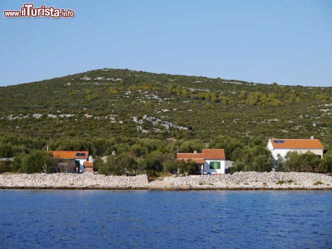 Immagine La costa ed alcune case dell'isola di Pasman in Croazia