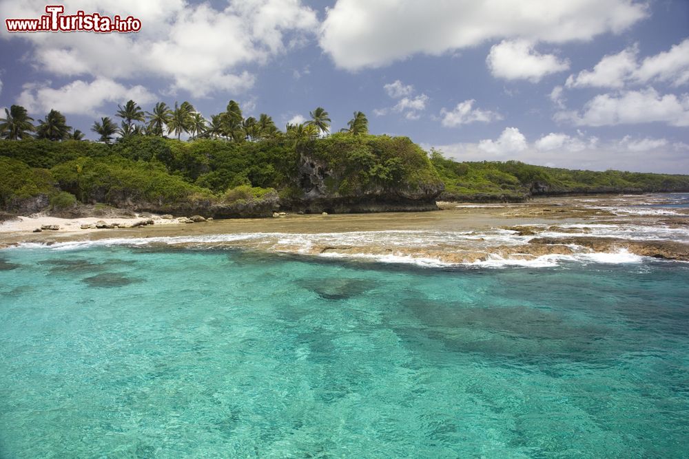 Immagine La costa di Alofi, isola di Niue, con la sua vegetazione vista da una barca nell'Oceano Pacifico.