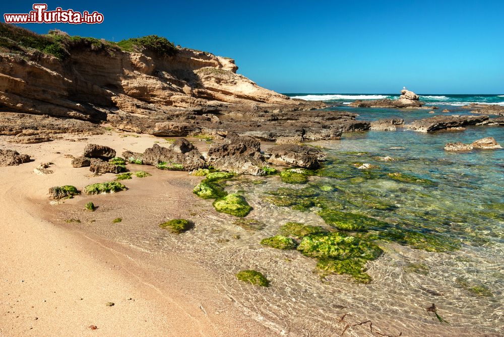 Immagine La costa di Capo Mannu nei pressi di San Vero Milis, Sardegna occidentale