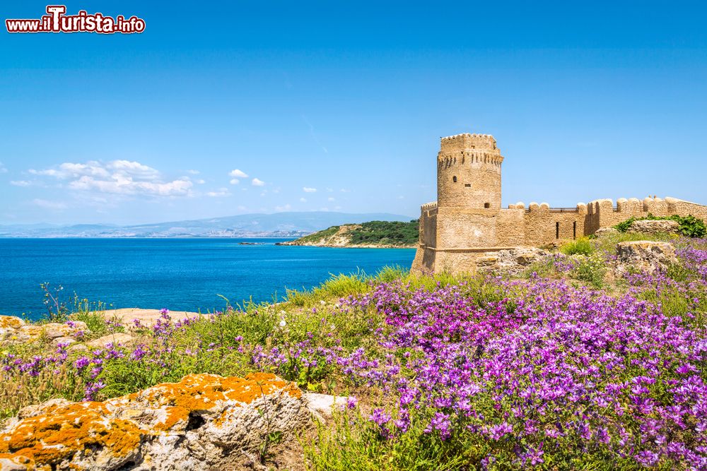 Immagine La costa selvaggia a Isola Capo Rizzuto e Le Castella in Calabria