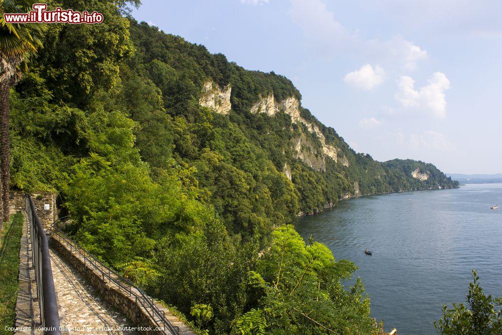 Immagine La costa di Leggiuno sul lago Maggiore fotografata dall'Eremo di Santa Caterina- © Joaquin Ossorio Castillo / Shutterstock.com