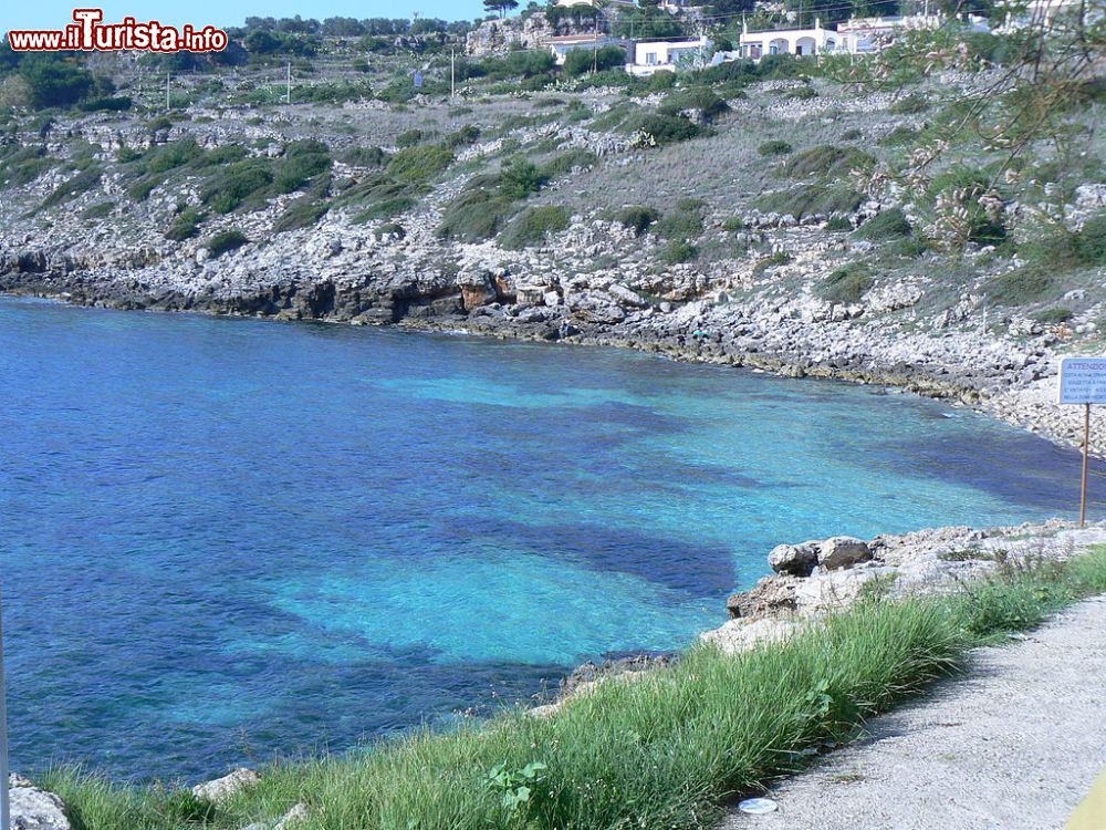 Immagine La costa di Marina di San Gregorio nel Salento, in Puglia - © Luca Margheriti, CC BY-SA 3.0, Wikipedia