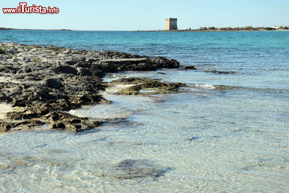 Immagine La costa di Porto Cesareo, piccola località nel Salento, Puglia.