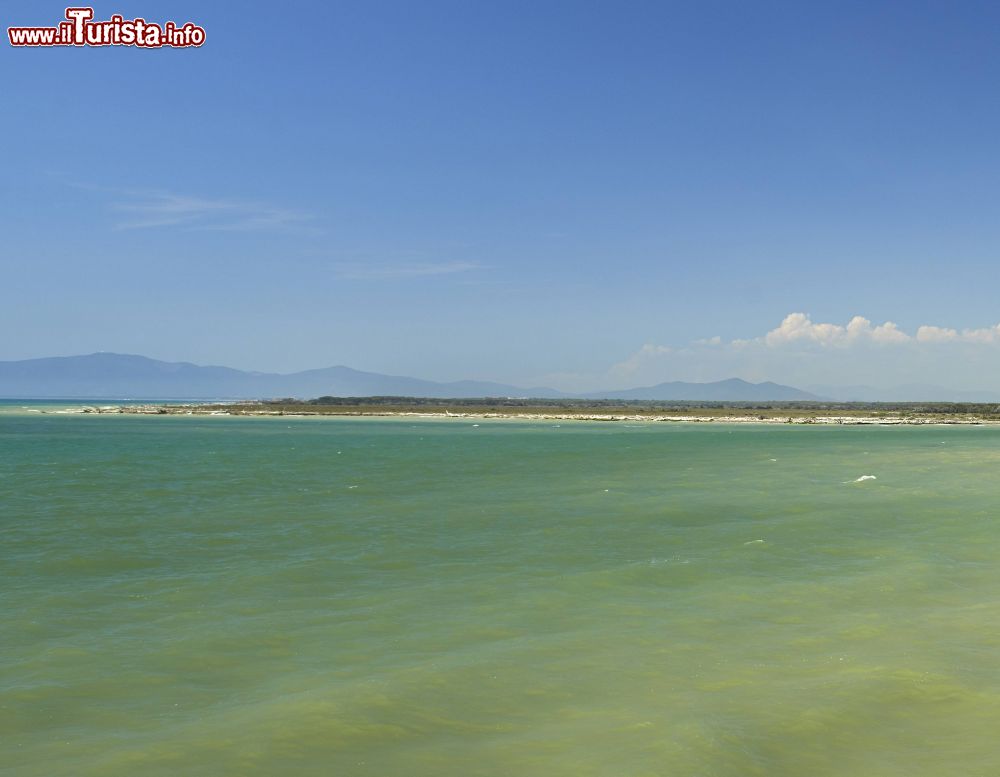 Immagine La costa di Principina a Mare in prossimità della Foce dell'Ombrone, Toscana