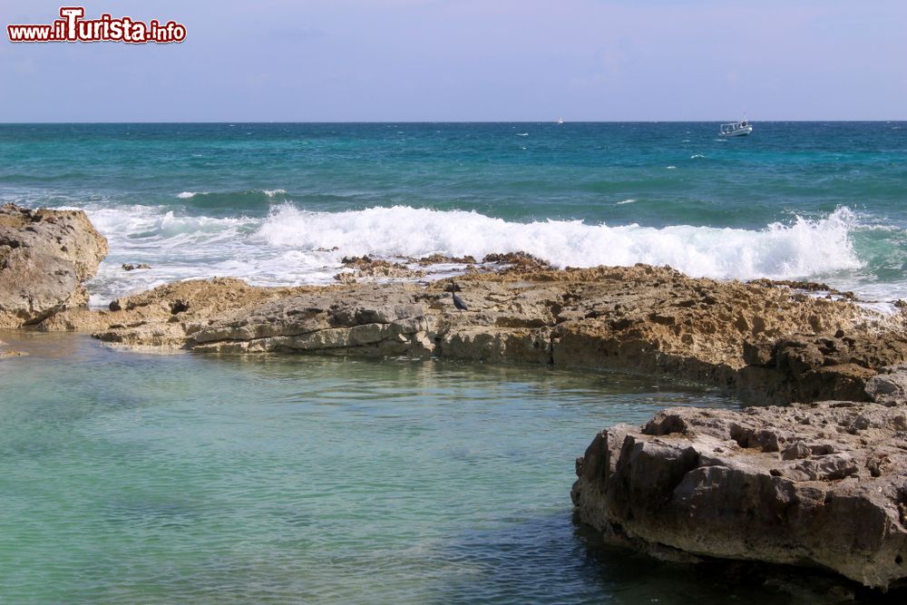 Immagine La costa rocciosa del mare dei Caraibi a Puerto Aventuras, Yucatan, Messico.