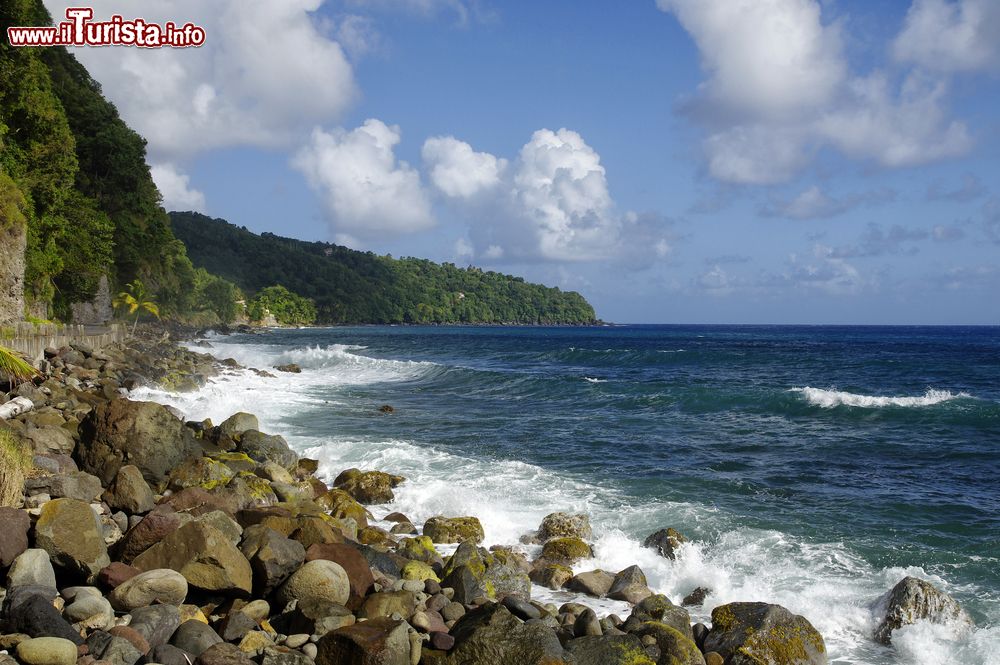 Immagine La costa rocciosa del villaggio di Berekua, isola di Dominica (Caraibi).