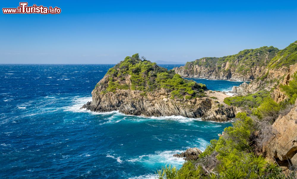Immagine La costa rocciosa dell'isola di Porquerolles in una giornata di vento, arcipelago di Hyères (Francia).
