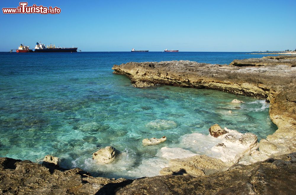Immagine La costa rocciosa di Freeport e una nave cargo in arrivo al porto, isola di Grand Bahama.