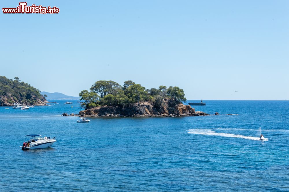 Immagine La costa selvaggia di Cap Benat vicino a Le Lavandou e Bormes-les-Mimosas (riviera francese).