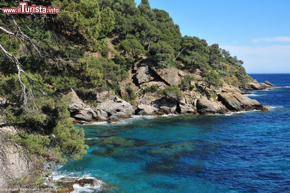 Immagine La costa spettacolare a Rayol-Canadel-sur-Mer in Costa Azzurra (Francia) - © Pack-Shot / Shutterstock.com