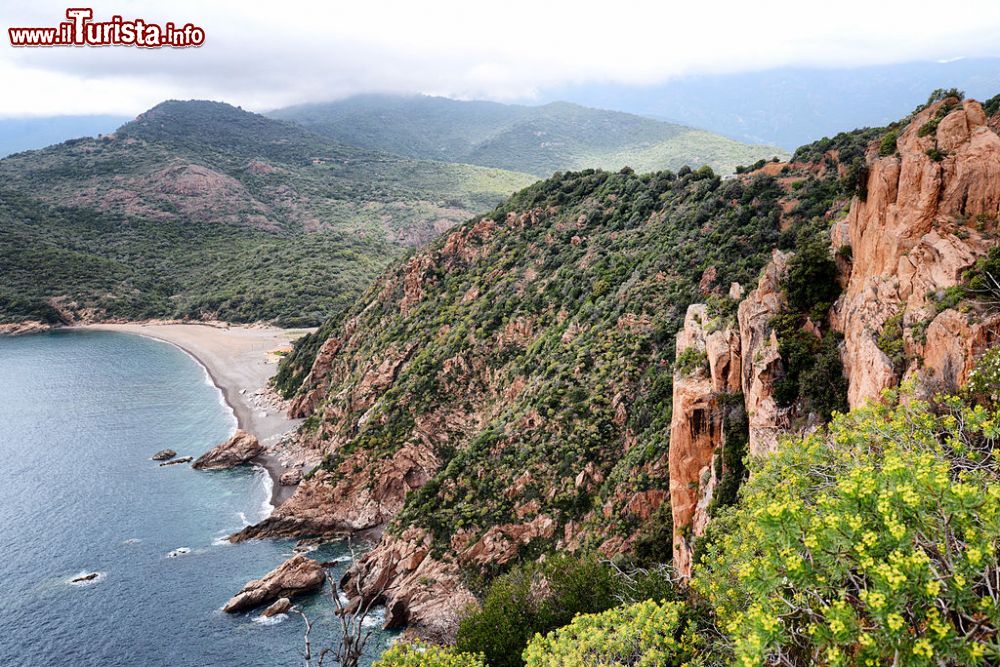 Immagine La costa spettacolare nei dintorni di Serriera in Corsica - ©  Pierre Bona - CC BY-SA 3.0, Wikipedia