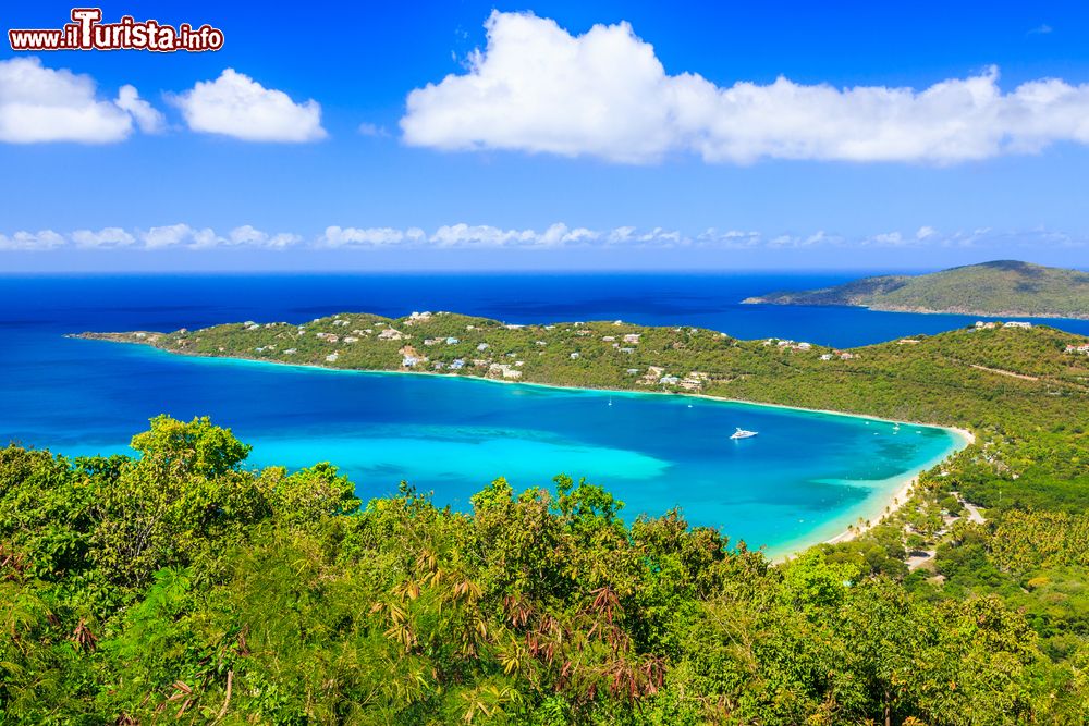 Immagine La costa verdeggiante di St. Thomas, Isole Vergini Americane: Magens Bay è nota per la sua forma a cuore.