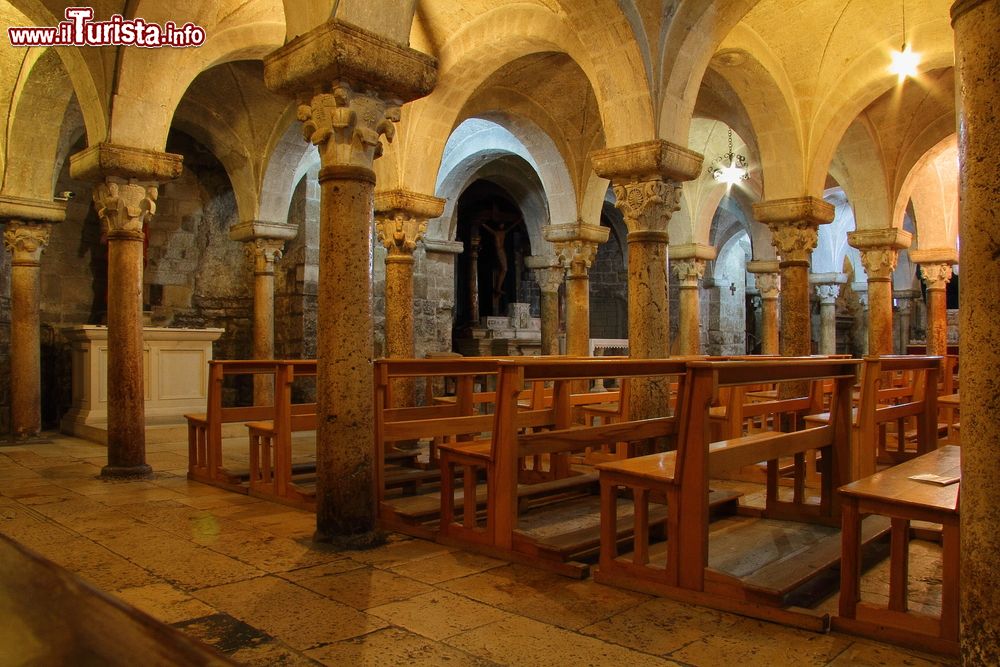 Immagine La cripta della cattedrale di Bitonto, Puglia. Qui sono conservati i resti di una chiesa precedente, databile attorno al V° secolo, fra cui un frammento di mosaico raffigurante un grifone.