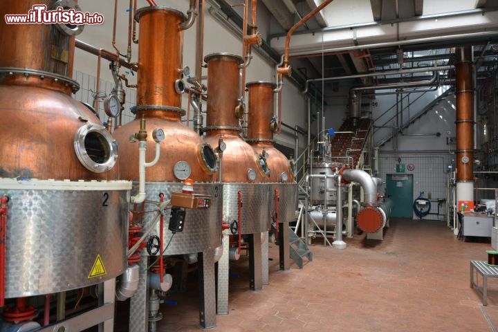 Immagine La distilleria Roner a Termeno sulla Strada del Vino