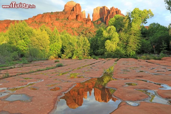 Immagine La Double Cathedral Rock a Sedona, Arizona (USA): queste imponenti pietre di arenaria naturale rappresentano uno degli skyline più suggestivi della città e sono fra i luoghi più fotografati dell'Arizona - © Malgorzata Litkowska / Shutterstock.com