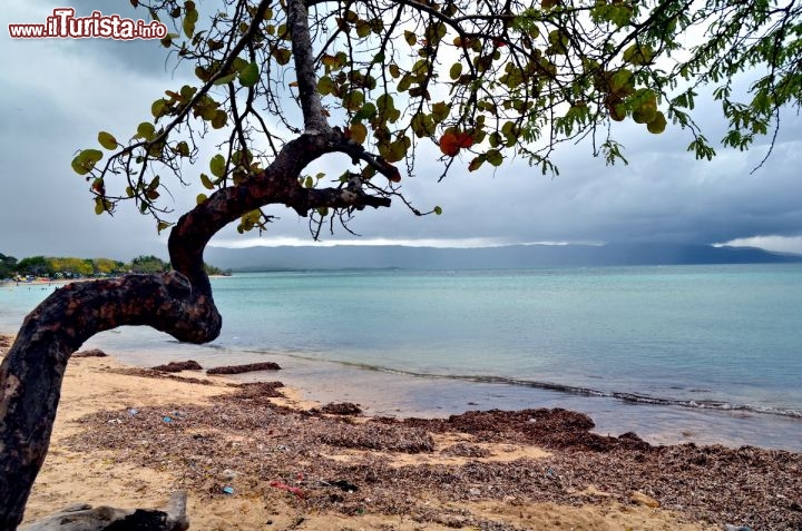 Immagine La ensenada (insenada) a Montecristi, Repubblica Dominicana - E' una spiaggia che è tipicamente frequentata dai dominicani, che qui amano mangiare l'aragosta, cotta sulle braci, e gustata direttamente sulla spiaggia 