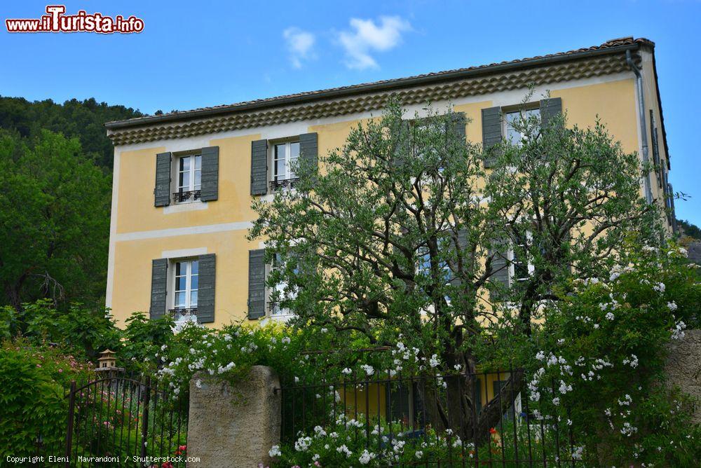 Immagine La facciata di una casa tradizionale con muri in stucco a Fontaine-de-Vaucluse (Francia) - © Eleni Mavrandoni / Shutterstock.com