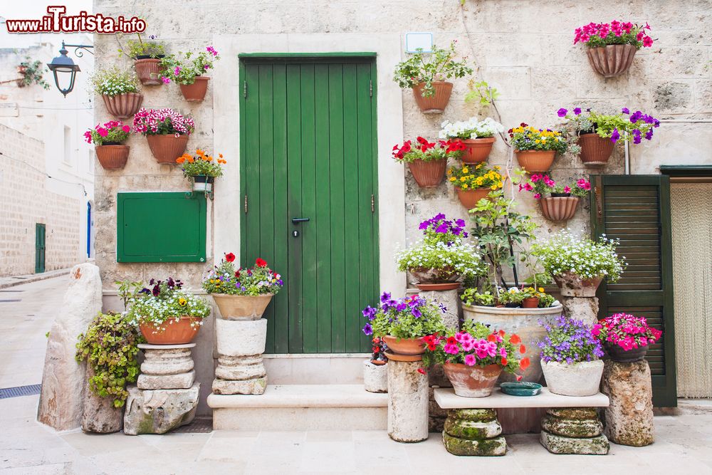 Immagine La facciata di una vecchia casa in pietra a Monopoli, Puglia. Ad abbellirla, fiori e piante di ogni genere.