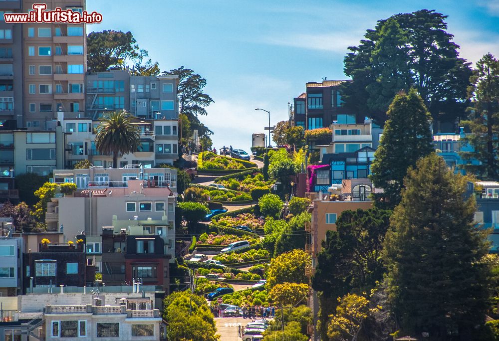 Immagine La famosa Lombard Street di San Francisco, California, USA. Il tratto più celebre è quello sulla Russian Hill dove la carreggiata ha 8 ripidi tornanti che l'hanno resa la più tortuosa strada del mondo.