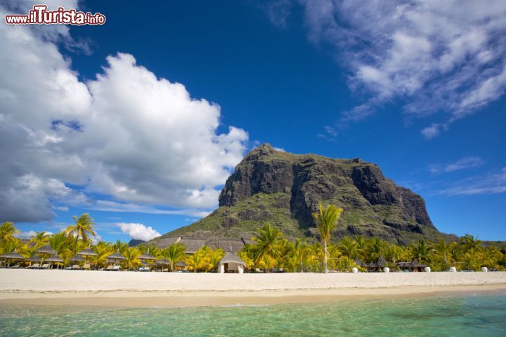 Immagine La favolosa spiaggia bianca di Le Morne Brabant - la splendida spiaggia di Le Morne Brabant, nel sud-ovest delle Mauritius, fa parte di uno dei panorami più belli di questa grande isola. Il mare cristallino, la sabbia bianca, la fitta vegetazione e la montagna vanno infatti a comporre un paesaggio di bellezza inestimabile, perfetto per una vacanza all'insegna del relax e della natura. Grazie al forte vento che caratterizza spesso questo territorio, la spiaggia di Le Morne è anche perfetta per praticare sport acquatici, quali il surf e il windsurf.  - © dibrova / Shutterstock.com