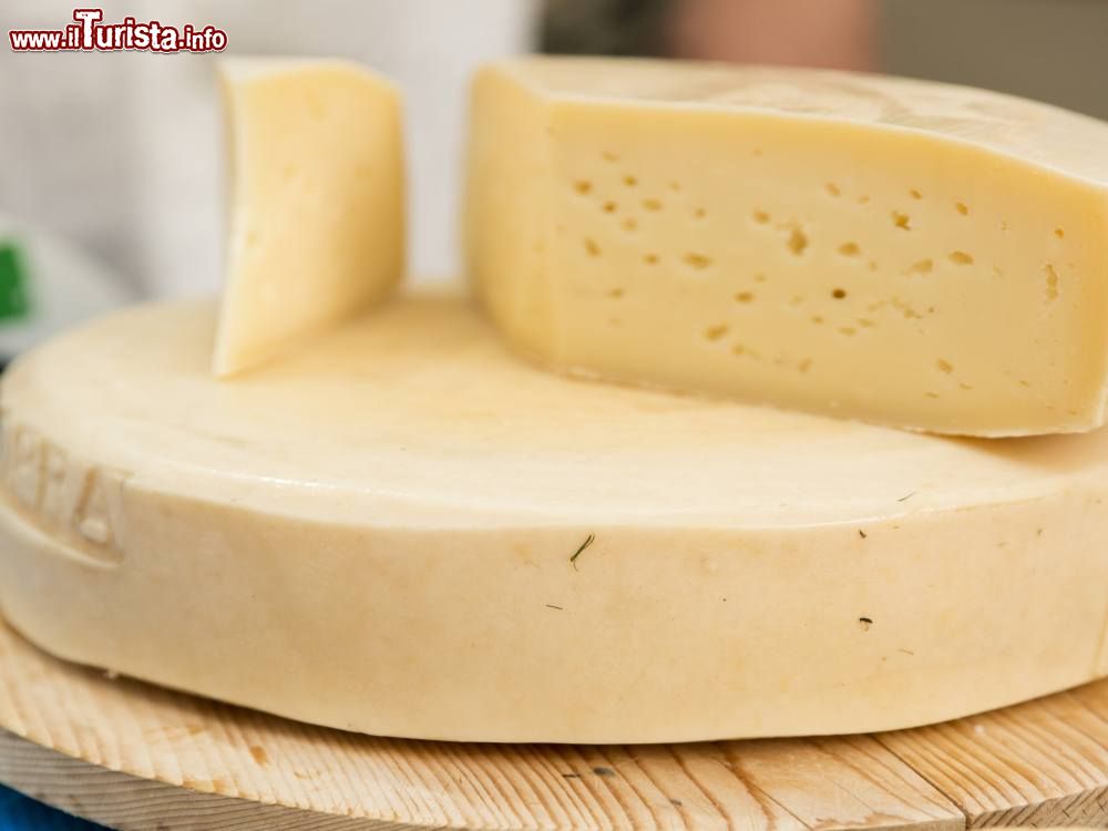 Gemona, formaggio e dintorni Gemona del Friuli