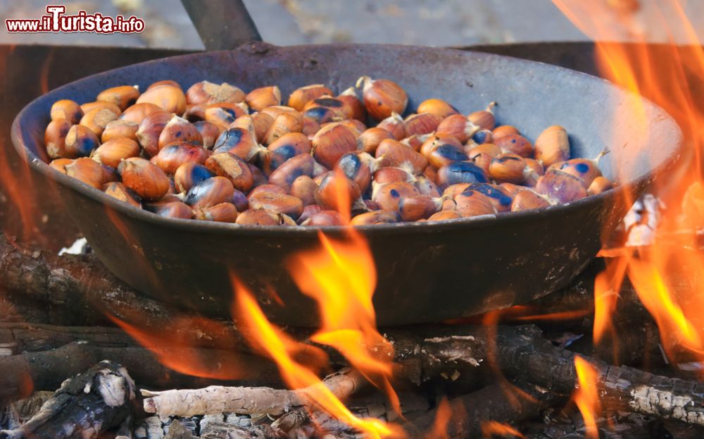 La castagna in festa Arcidosso