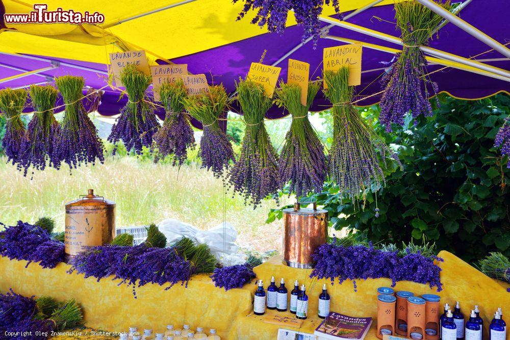 Immagine La Festa della Lavanda a Ferrassières in estate, sud della Francia - © Oleg Znamenskiy / Shutterstock.com