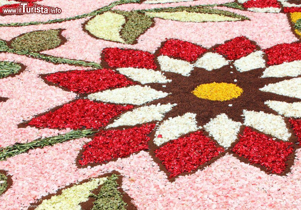 Festa della Madonna del Cuore - Infiorata Gerano