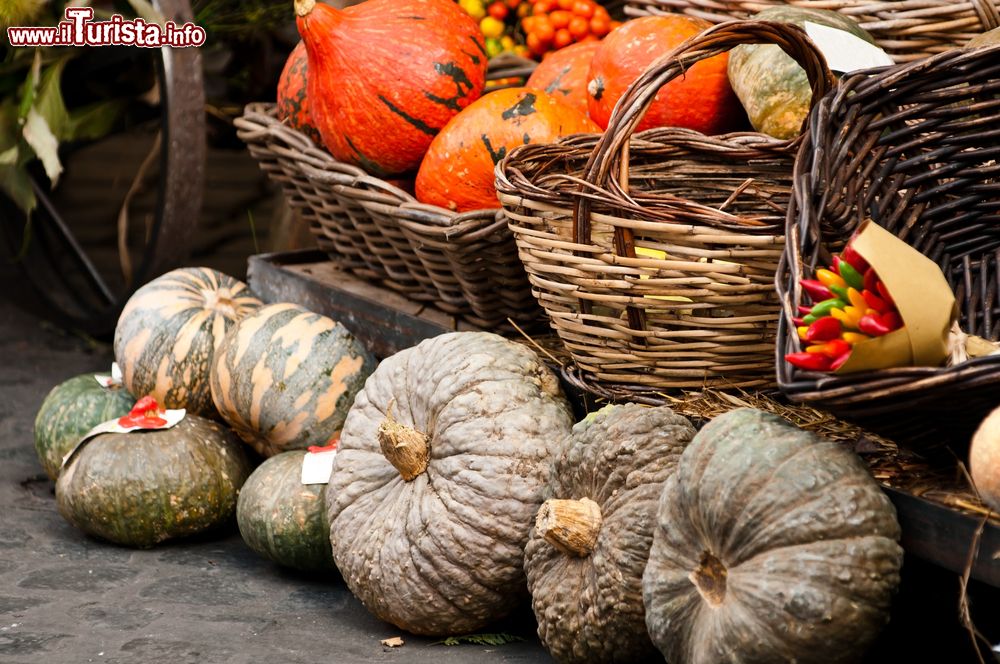 Immagine La Festa della Zucca a Pergine Valsugana in Trentino