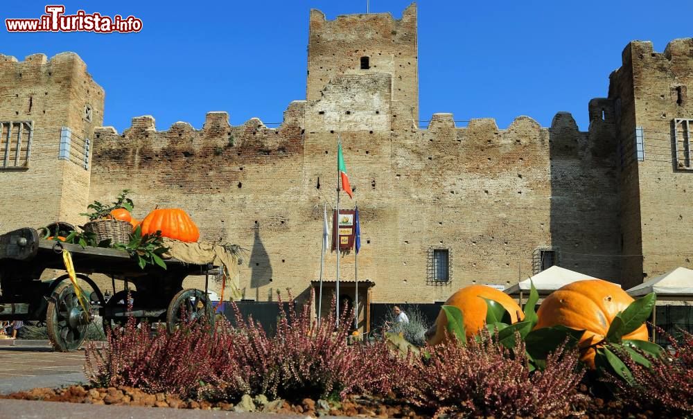 Immagine La Festa della zucca in Rocca a Reggiolo, Emilia-Romagna - © Lasagni stefano, CC BY-SA 4.0, Wikipedia