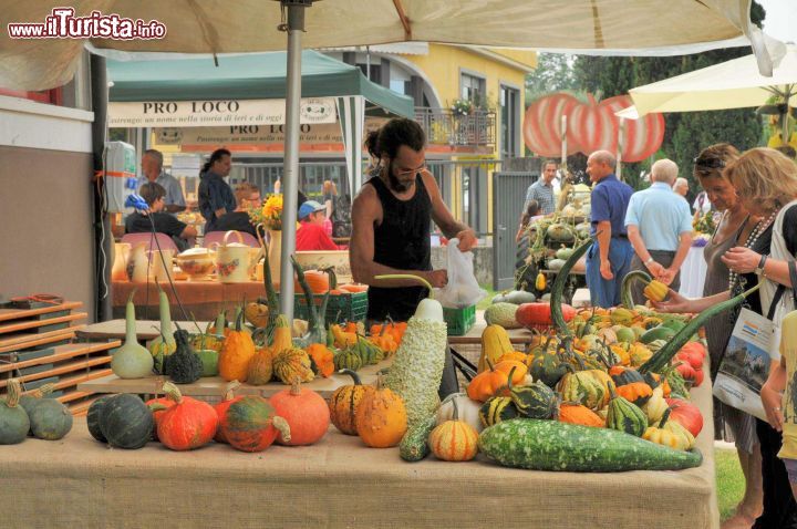 Immagine La festa della Zucca, si svolge in settembre a Piovezzano di Pastrengo, in Veneto - © www.prolocopastrengo.it/