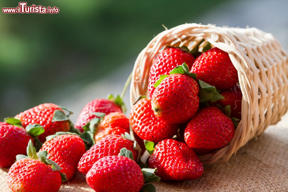 Festa della Fragola Cassibile