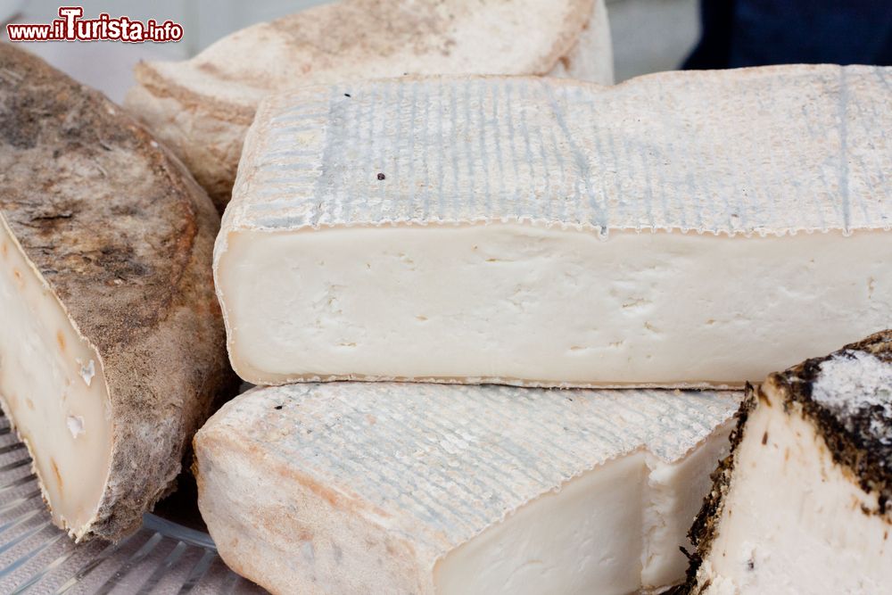 Immagine La Fiera del Taleggio a Ballabio in Lombardia