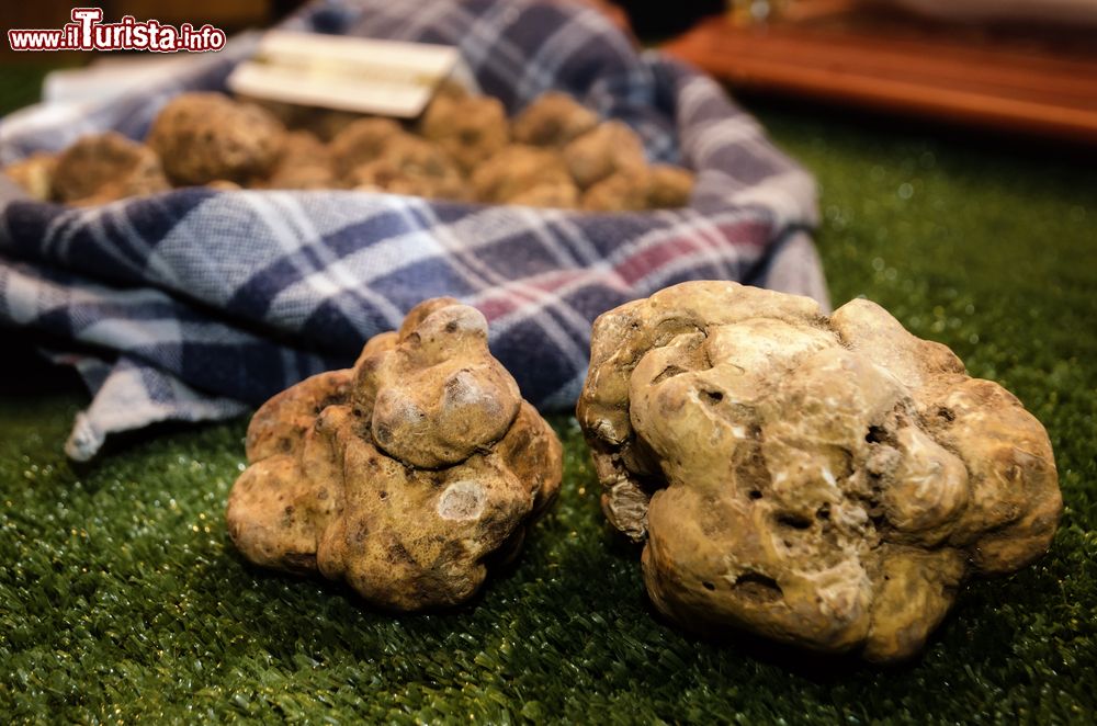 Immagine La Fiera del Tartufo di Asti uno degli eventi più importanti del Piemonte